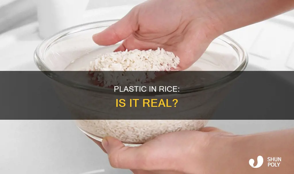 is ther pieces of plastic in rice