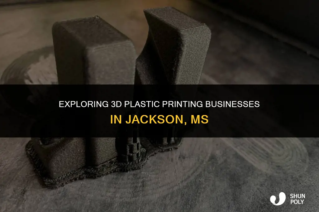 is there a 3d plastic printing business in jackson ms