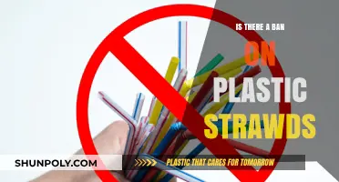 The War on Plastic Straws: Are They Banned?
