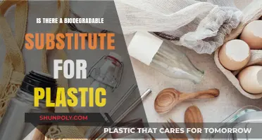 The Quest for Biodegradable Alternatives to Plastic