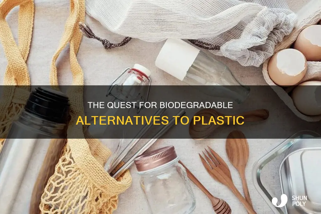 is there a biodegradable substitute for plastic