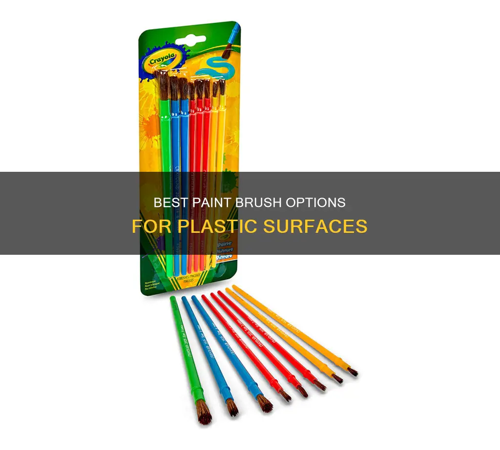 is there a brush on paint for plastic