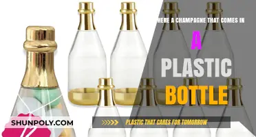 Plastic Bottle Champagne: Myth or Reality? Exploring Sparkling Wine Options