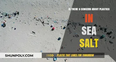 Unveiling the Hidden Dangers: Plastics in Sea Salt