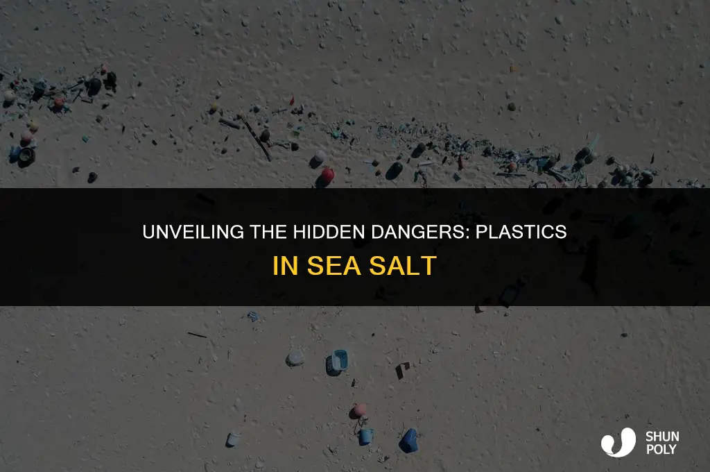 is there a concern about plastics in sea salt