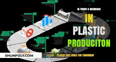 The Plastic Crisis: Are We Reducing Production?