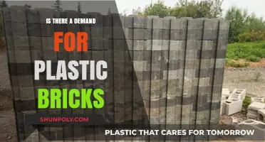 The Future of Plastic Bricks: Demand and Innovation