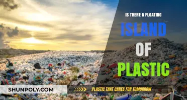 The Mystery of Plastic Floating Islands: Do They Exist?