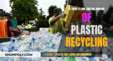 Plastic Recycling: Legal Limits and Their Impact