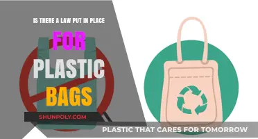 Plastic Bag Laws: Global Regulations and Environmental Impact Explained