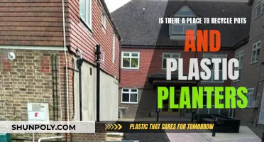 Where to Recycle Pots and Plastic Planters?