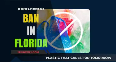 Florida's Plastic Bag Ban: Current Status and Environmental Impact