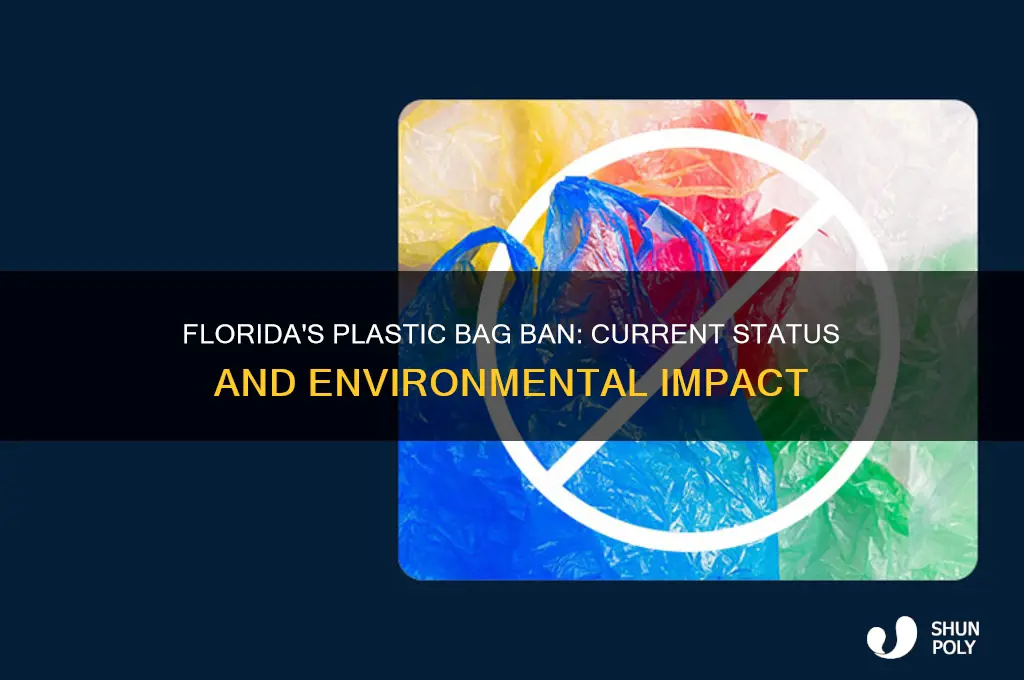 is there a plastic bag ban in florida