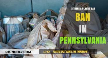Pennsylvania's Plastic Bag Ban: What You Need to Know