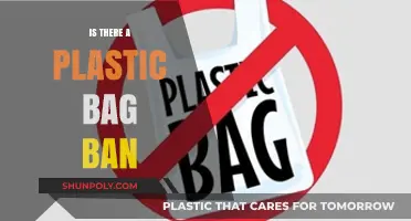 Plastic Bag Bans: Are They Effective? Exploring the Global Impact