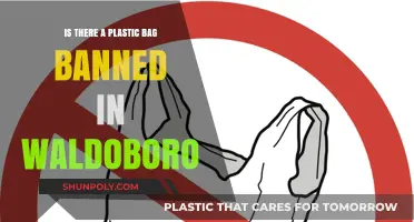 Waldoboro's Plastic Bag Ban: What You Need to Know