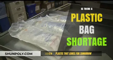 Plastic Bag Shortage: Causes, Impacts, and Sustainable Alternatives Explored