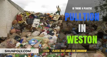 Plastic Pollution in Weston: A Growing Concern?