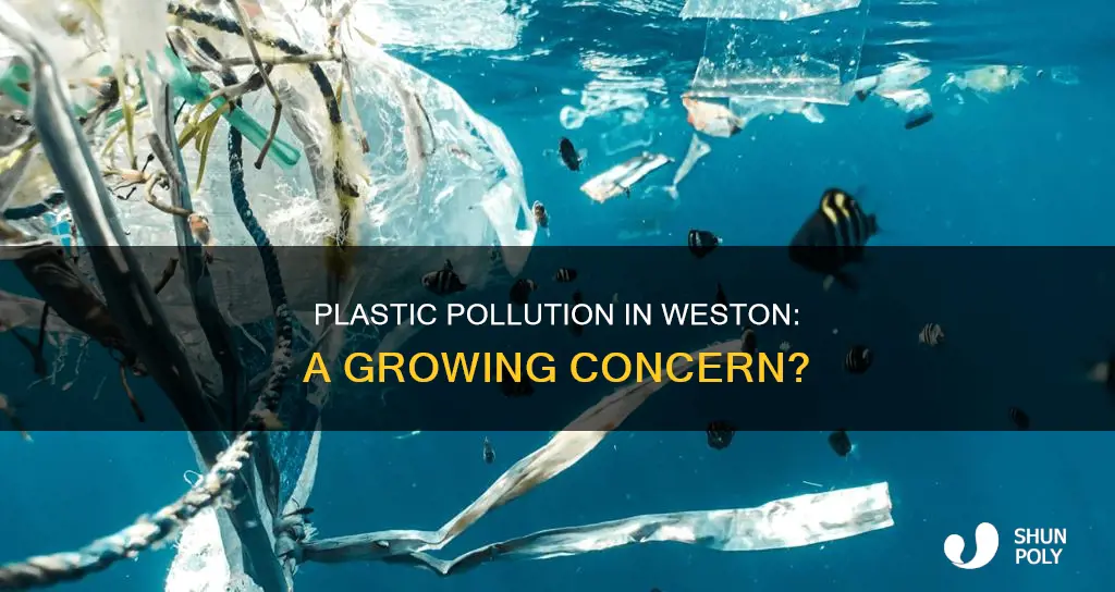 is there a plastic pulltion in weston