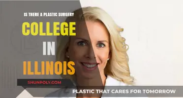 Exploring Plastic Surgery Education: Are There Colleges in Illinois?