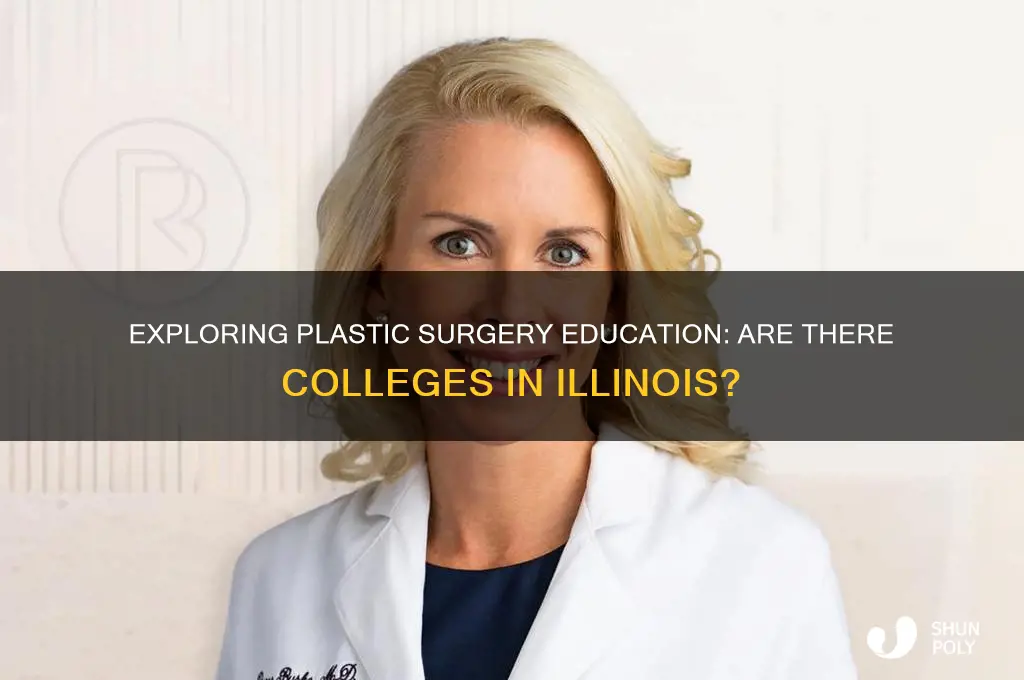 is there a plastic surgery college in illinois
