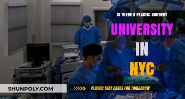 Exploring NYC's Plastic Surgery Education: Universities and Programs Available