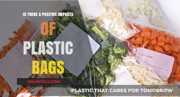 Unexpected Benefits: Exploring the Positive Impacts of Plastic Bags