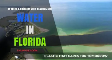 Florida's Water Crisis: The Hidden Dangers of Plastic Pollution