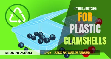 How to Recycle Plastic Clamshells?