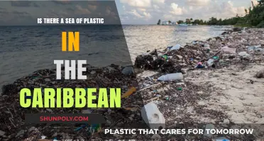 Unveiling the Truth: Plastic Pollution in the Caribbean Sea