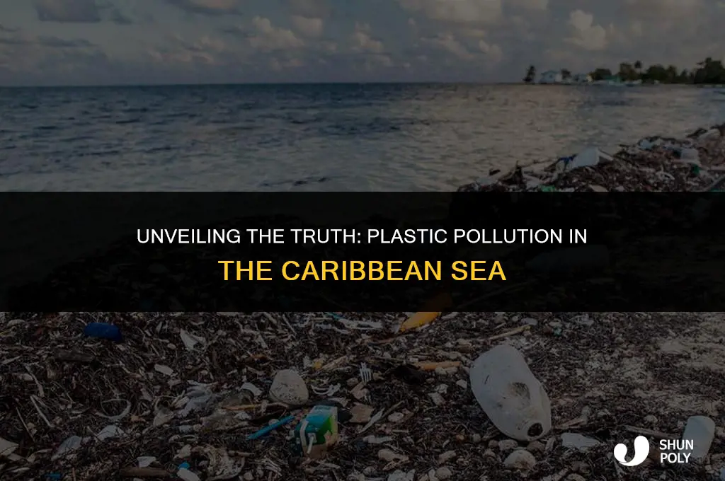 is there a sea of plastic in the caribbean