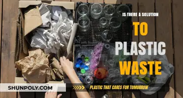 Plastic Waste: Solutions for a Sustainable Future