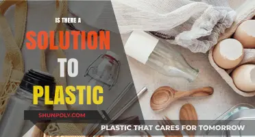 The Plastic Problem: Can We Solve It?