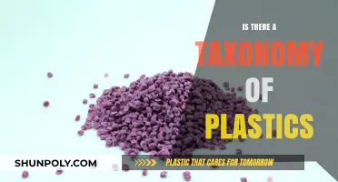 Plastics: A Comprehensive Taxonomy and Classification Guide