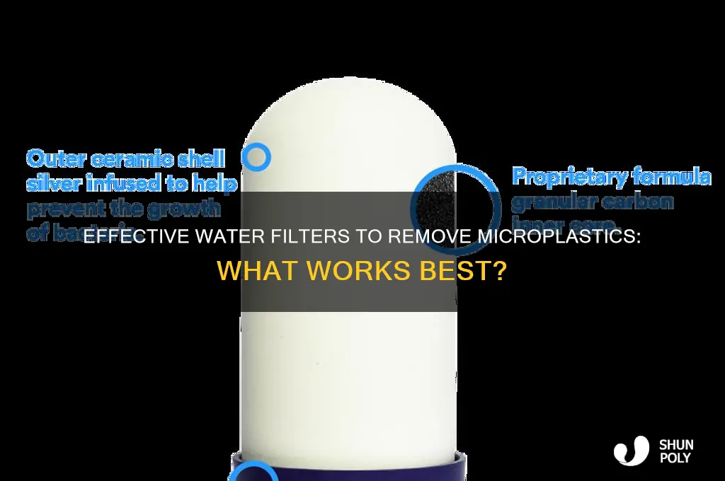 is there a water filter that will remove micro plastic