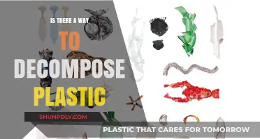 How to Decompose Plastic: The Eco-Friendly Way