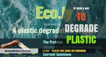 Degradation of Plastic: Exploring Innovative Solutions for a Sustainable Future