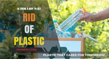 Eliminating Plastic Waste: Sustainable Solutions for a Greener Future