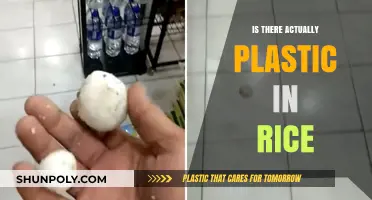Plastic in Rice: Is it Real?