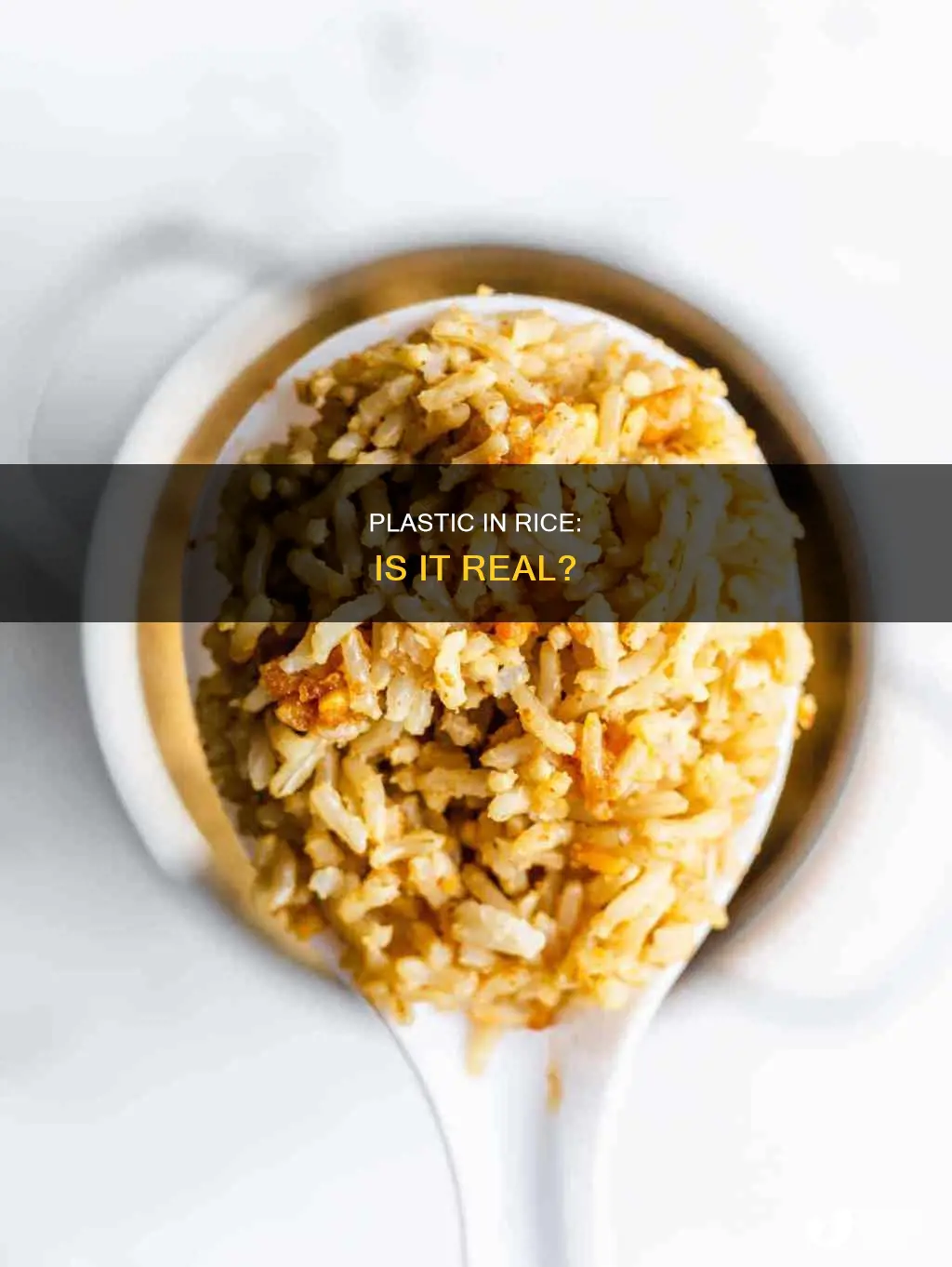 is there actually plastic in rice
