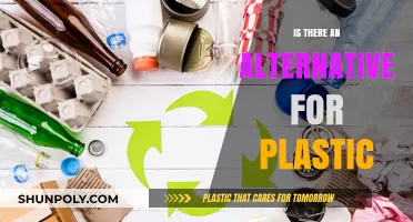 The Green Alternative: Life Without Plastic