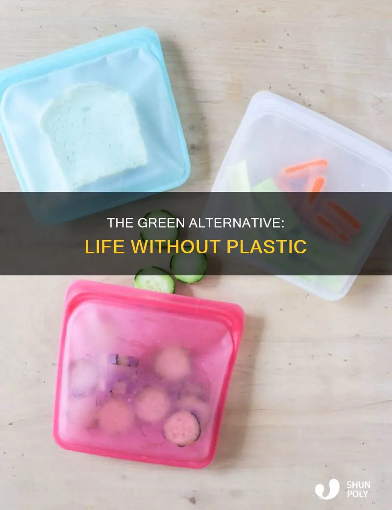 is there an alternative for plastic