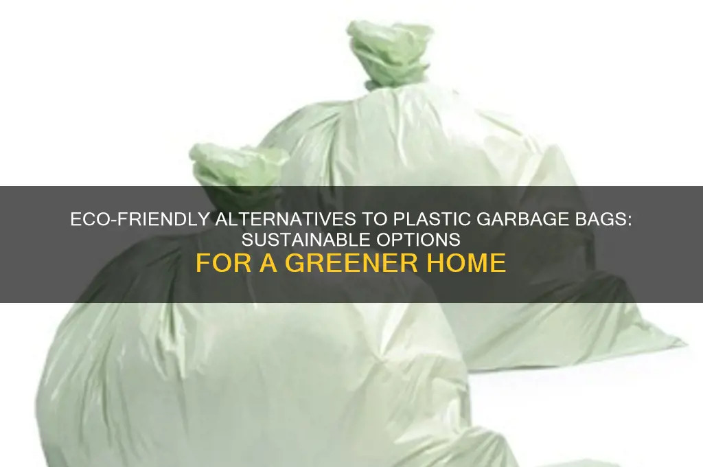 is there an alternative to plastic garbage bags