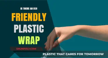 Unwrapping Sustainability: The Quest for Eco-Friendly Plastic Alternatives