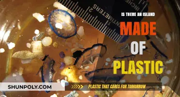 The Great Pacific Garbage Patch: Is It a Plastic Island?