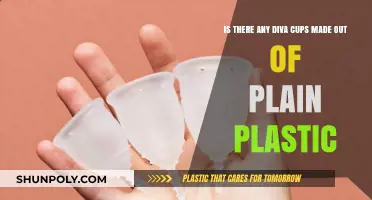 Are There Plain Plastic Diva Cup Alternatives Available?
