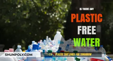 Plastic-Free Water: Is it Possible?
