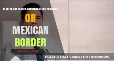 Plastic Surgeons Near the US-Mexico Border: Accessibility and Options