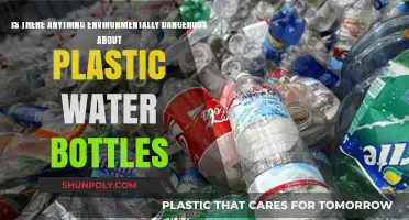 Are Plastic Water Bottles Harming Our Environment? A Critical Look
