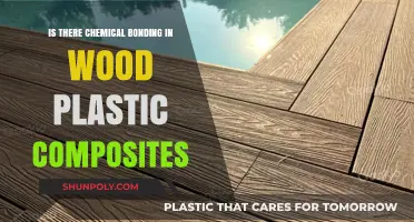 Exploring the Molecular Connections in Wood Plastic Composites